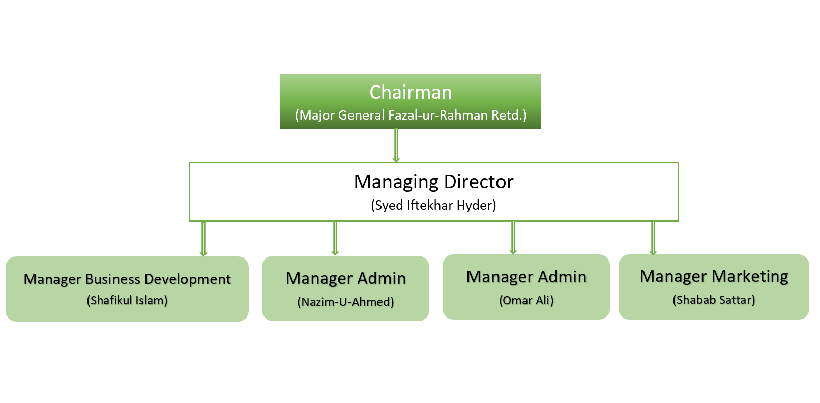 Office Organogram